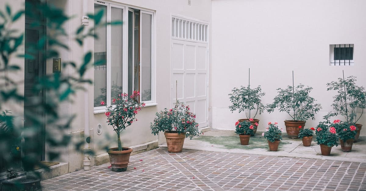11 Inspirasi Desain Taman Rumah Minimalis yang Bikin Cantik Hunian
