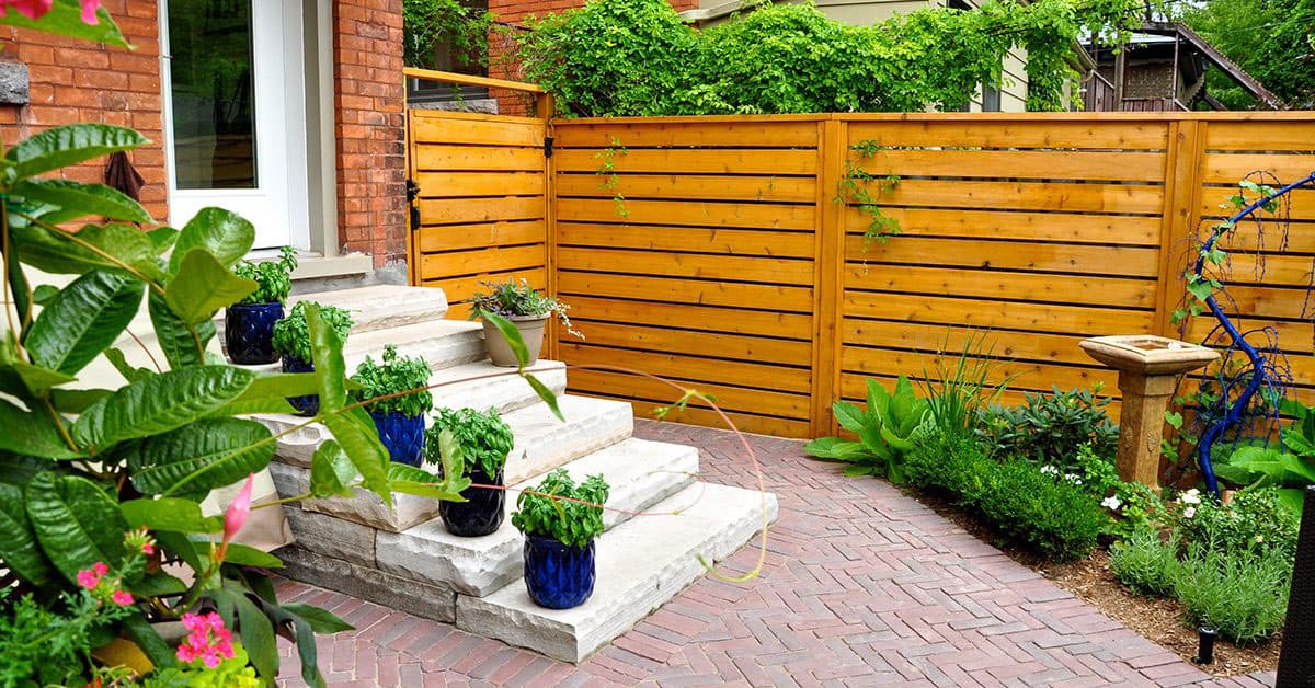 8 Pilihan Tanaman Hias Depan Rumah Terbaik Supaya Hunian Menjadi Asri