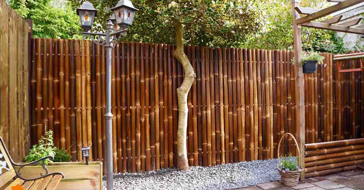 12 Inspirasi Model Pagar Bambu Simple Minimalis Modern Unik